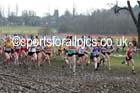 Start of the of the under-20 womens Inter Counties Cross Country, Cofton Park, Birmingham. Photo: David T. Hewitson/Sports for All Pics